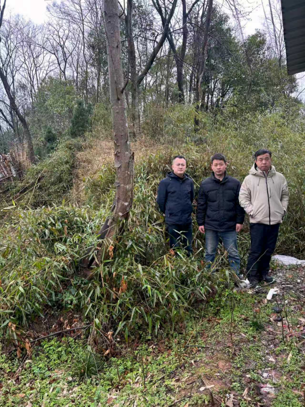 1770259102106351.png 70bac102-1531-48f9-91eb-a36826a3c5c7.png